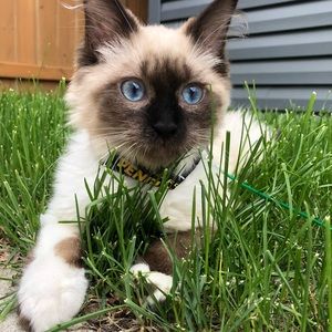 Meet your Posher, Kendyl